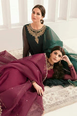 Embroidered Chiffon Kalidaar Set