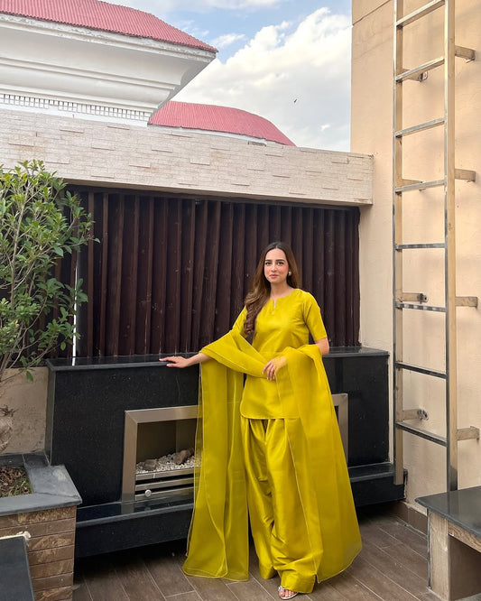 FARSHI SHALWAR DRESS