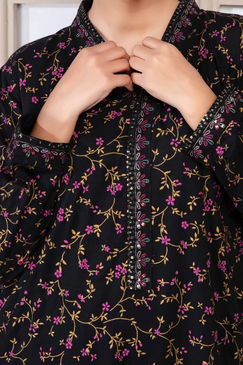 Dhanak 2pc dress